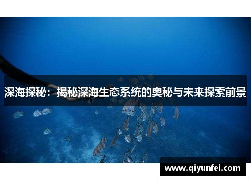 深海探秘：揭秘深海生态系统的奥秘与未来探索前景